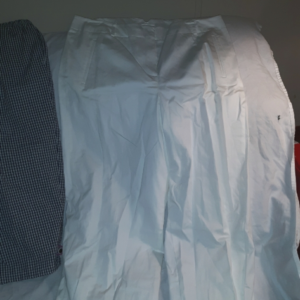 Dress slacks